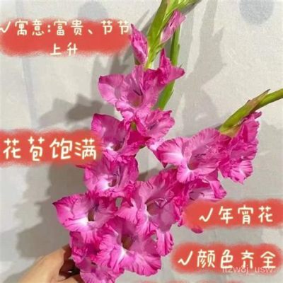 昆明哪裏學插花