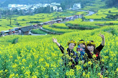 清明節去哪裏旅遊好？古風韻味與自然風光並重的旅行選擇